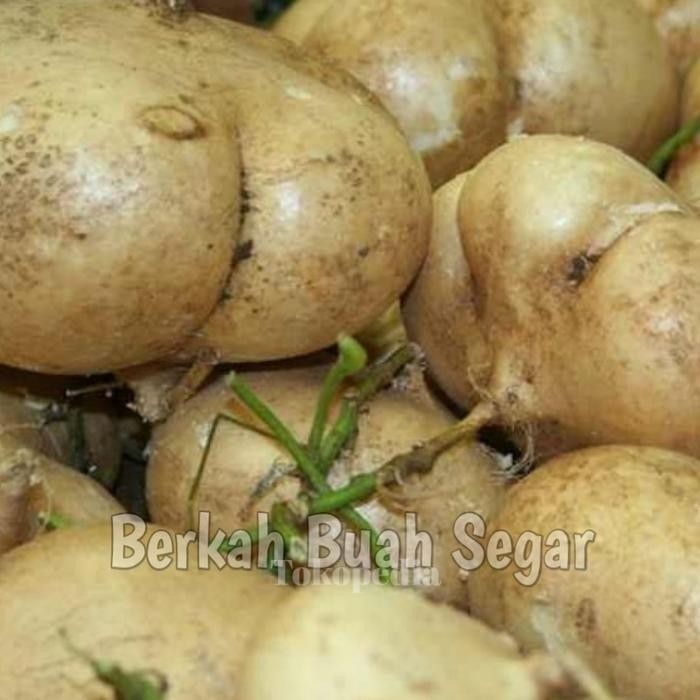 

IOI2 Bengkuang Bengkoang Super Per 1Kg