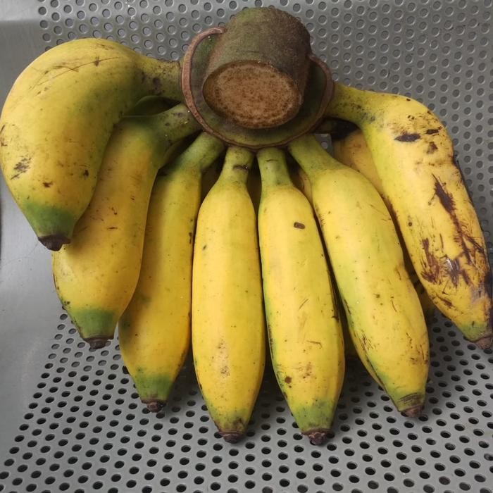 

3YC3 Pisang Uli Curah Promo Beli 6 Sisir Gratis 1 Sisir