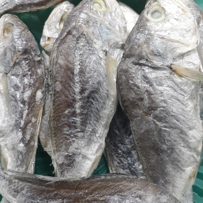 

3YC3 Ikan Asin Kepala Batu Asli Medan 500Gram