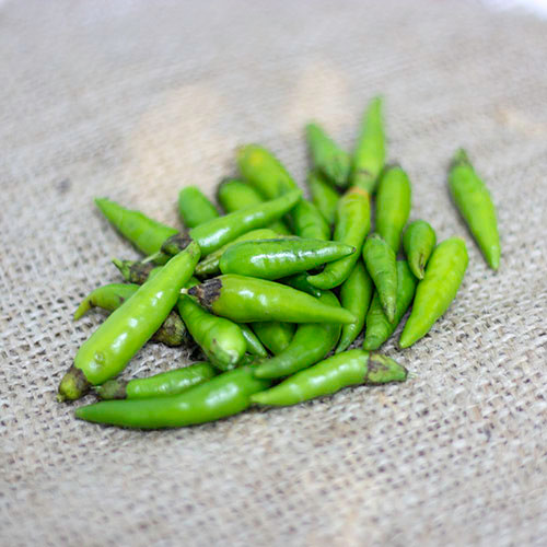 

Cabai Rawit Hijau Petik Konvensional 1 kg