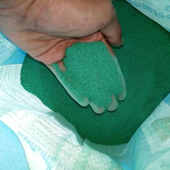 BENIH BIBIT RUMPUT GAJAH MINI - BIBIT RUMPUT GAJAH MINI