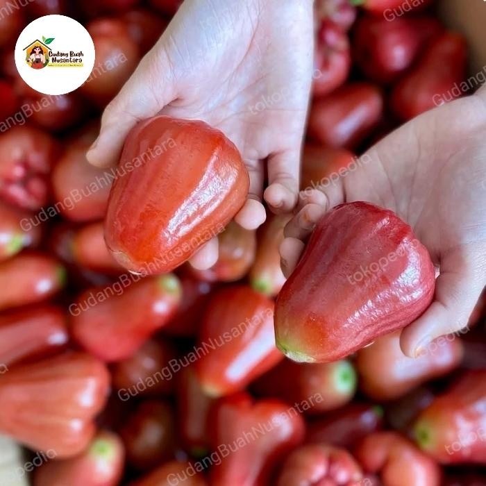 

ASLI Jambu Air Citra manis / Jambu Cincalo Madu Hijau Super READY STOCK