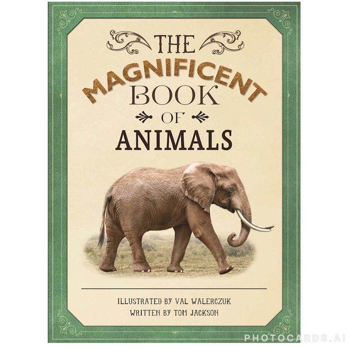 Buku Reference Anak - The Magnificent Book of Animals - Hard Cover - 80 Halaman