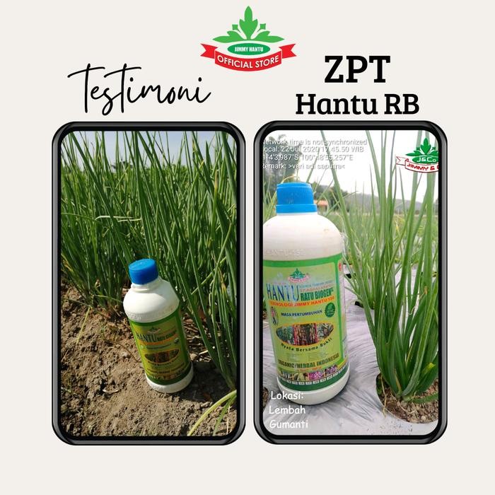 Pupuk Jimmy Hantu Zpt Pertumbuhan 250Ml Tanaman Hias Anggrek Sayuran