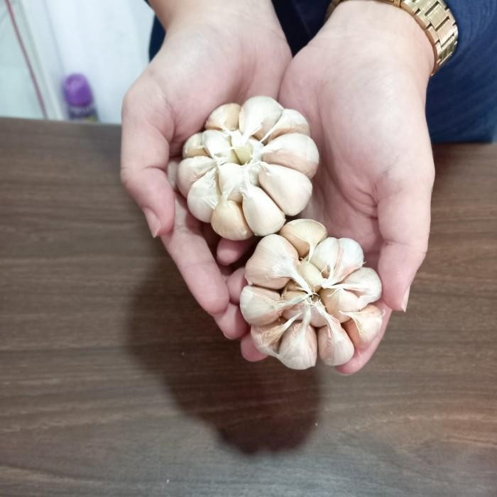

(Allthebest) BAWANG PUTIH SICO/SINCO/HONAN 1 KG