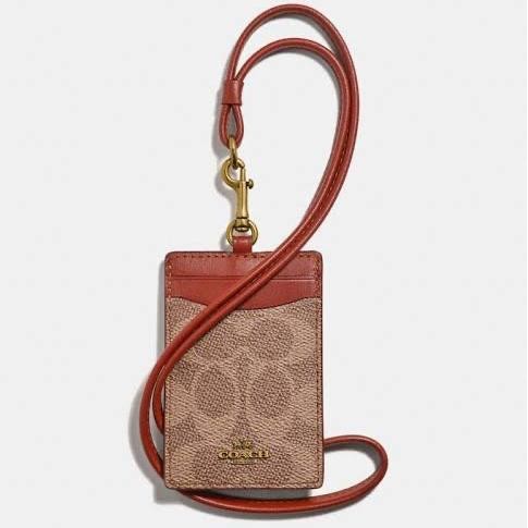 

ASLI Id Lanyard In Colorblock Signature Canvas READY STOCK