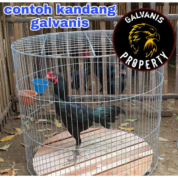 Kandang Ayam Bangkok/Aduan/Jago Bulat/Bundar Bahan Besi Galvanis D90 -Gratisongkir