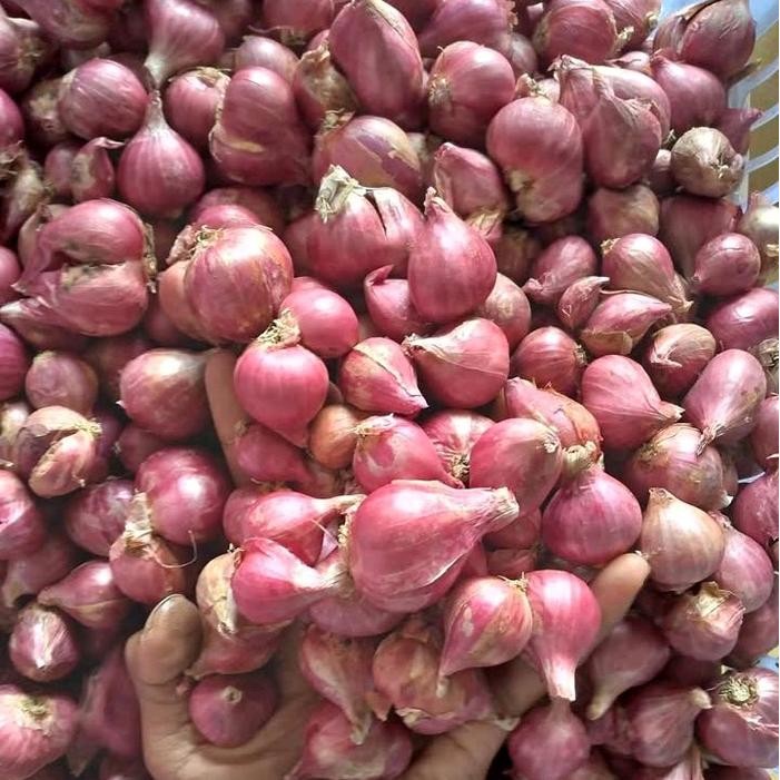 

NW145 bawang merah lokal SUPER buat bumbu masakan Spices Rempah Bubuk Pedas Bahan GRATIS ONGKIR