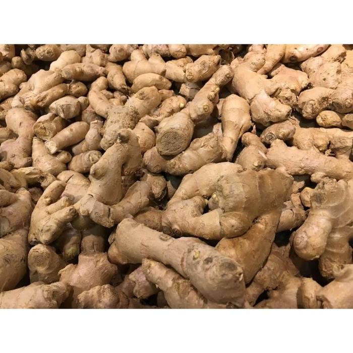 

OZ462 JAHE /BUMBU REMPAH/BUMBU DAPUR/BUMBU MASAK Dapoer Mateep DISKON