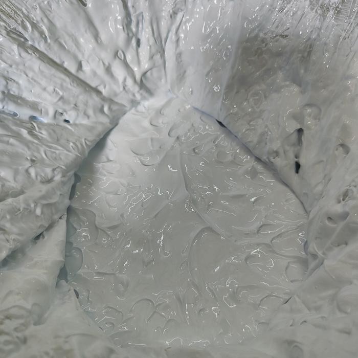 Wall sealer cat tembok dasar ( untuk tembok interior/eksterior ) @1kg Paint