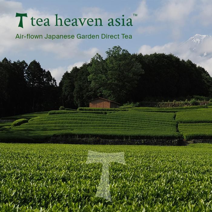 

Tea Heaven Pure Ceremonial Matcha Finest 30Gr Pasti Diskon