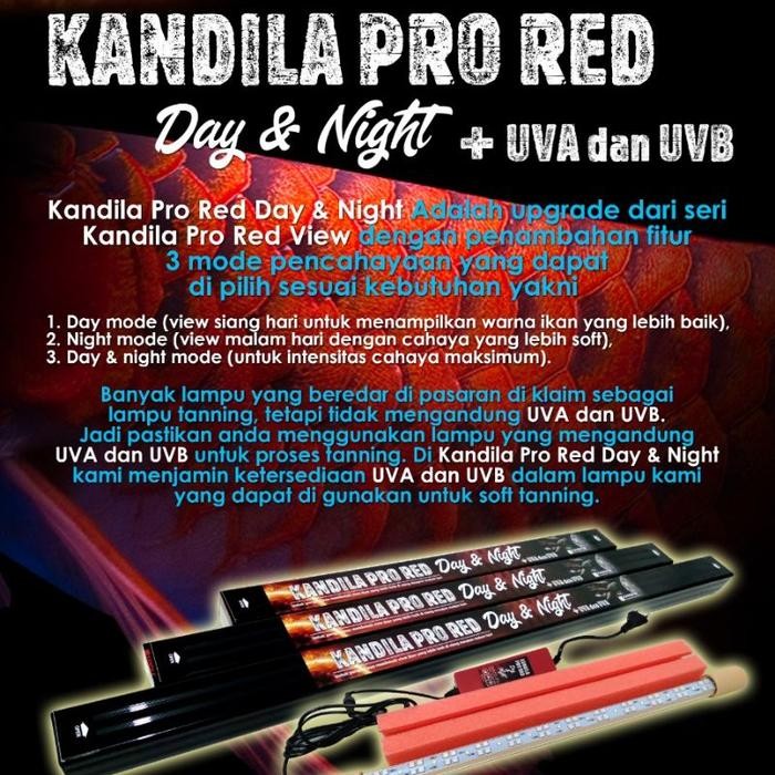 Lampu Kandila Pro Red Day And Night Uva Uvb