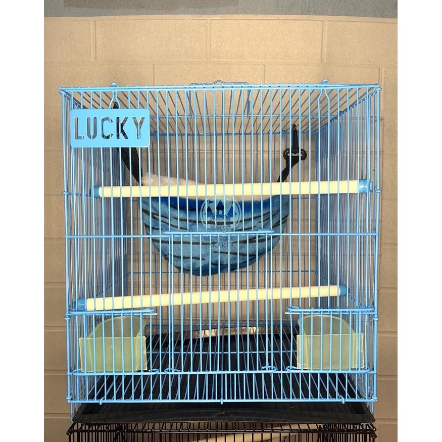 KANDANG SUGAR GLIDER 30 x 30