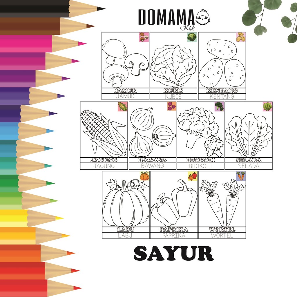 

Gambar Sayur-sayuran : Gambar Mewarnai untuk Anak TK dan PAUD