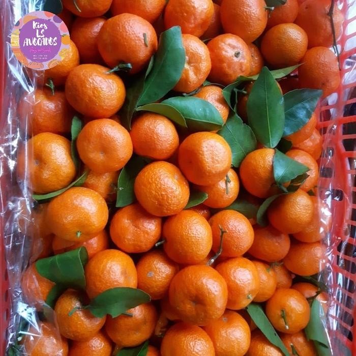 

DISKON Jeruk Santang Tangerin Import READY STOCK