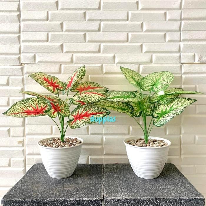 Pohon Daun Sri Rejeki Artifisial Tanaman Plastik Hijau Merah Vas Tawon