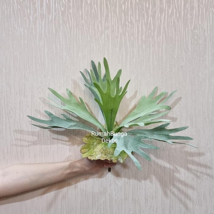 Daun Tanduk Rusa Artificial X9