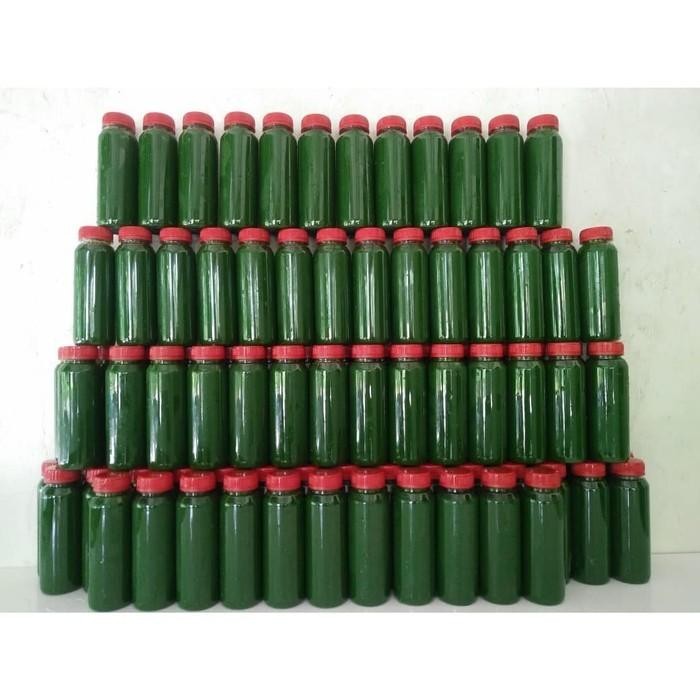 

Endapan Pandan Murni Terlaris Grosir 12 Botol