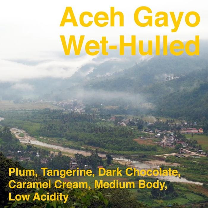 Kopi Arabika Aceh Gayo 1kg 1 kg