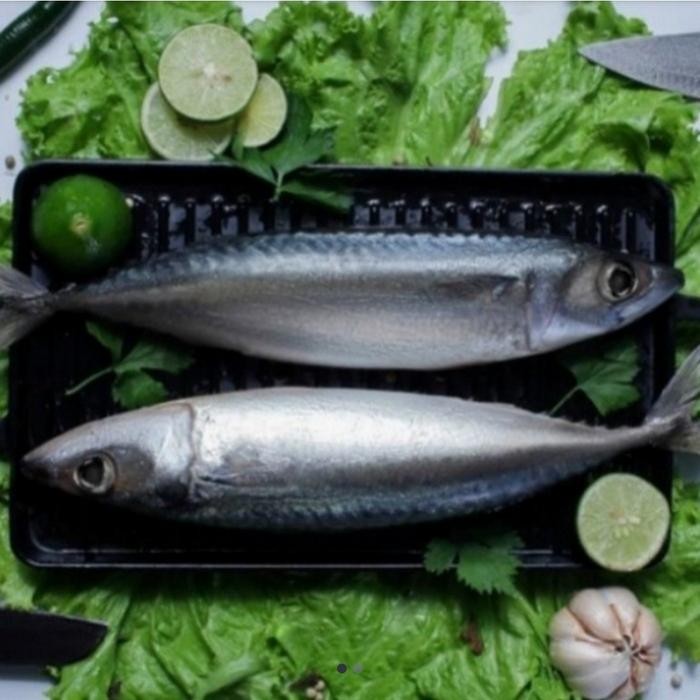 

READY IKAN SALEM SEGAR UNTUK SARDEN 1 KG - IKAN SEGAR PILIHAN