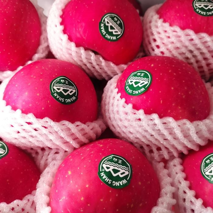 

TERLARIS apel wang shan premium 1kg buah apel wang shan READY STOCK