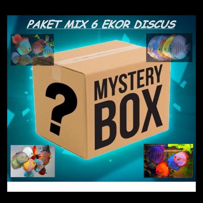 Paket Mix 6 Ekor Discus 1 Inch