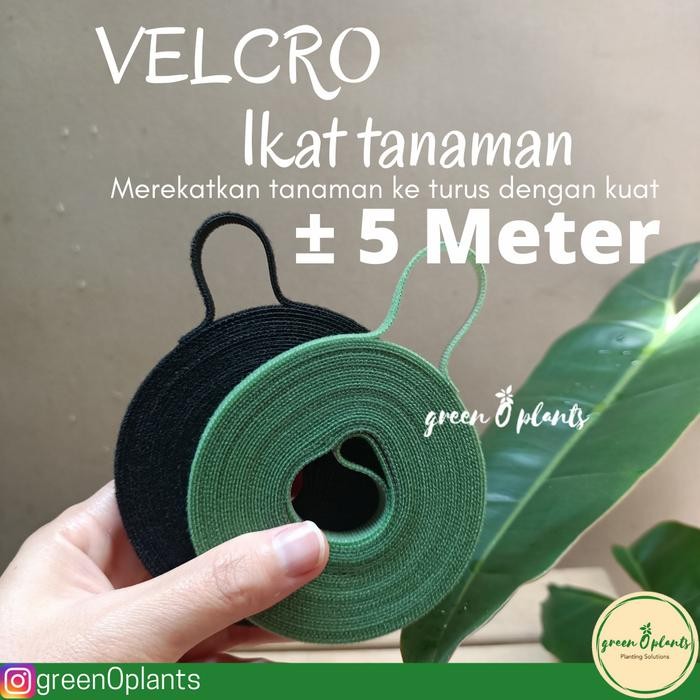 

Baru Velcro Ikat Tanaman Perekat Serbaguna Tali Ikat Tanaman