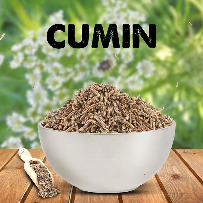 

Cumin Seeds Jeera 500 Gm Terlaris