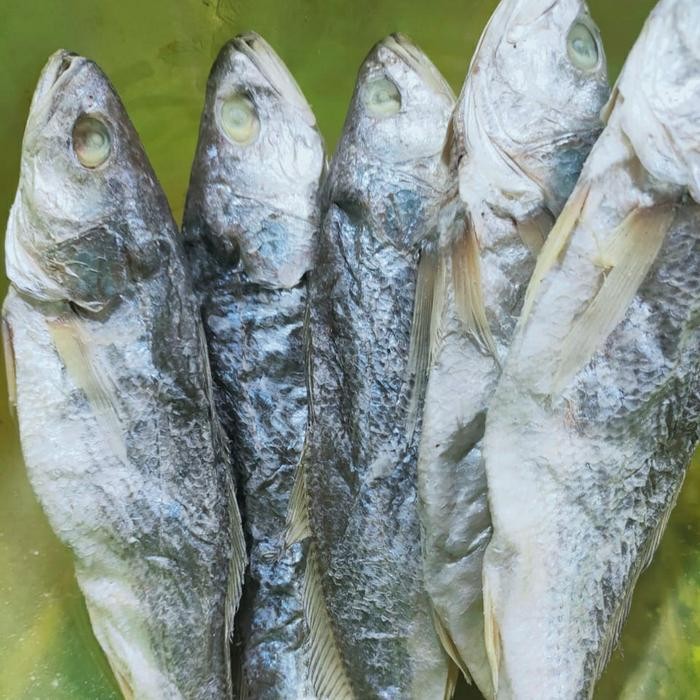 

Ikan Asin Sangge Panjang 500Gr Terlaris
