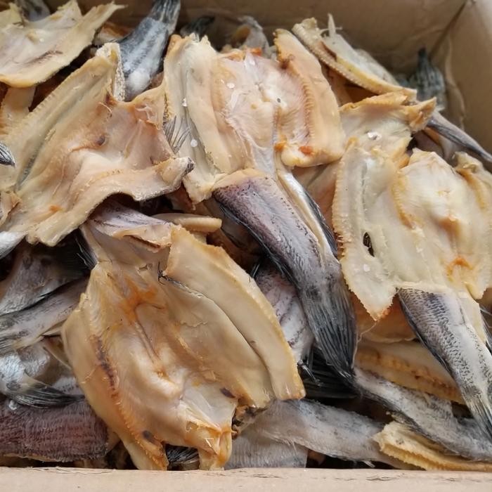 

Ikan Gabus Asin Terlaris