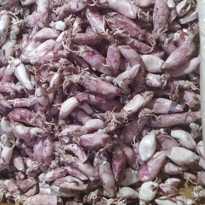 

Ikan Asin Cumi Sontong Kecil 500Gr Terlaris