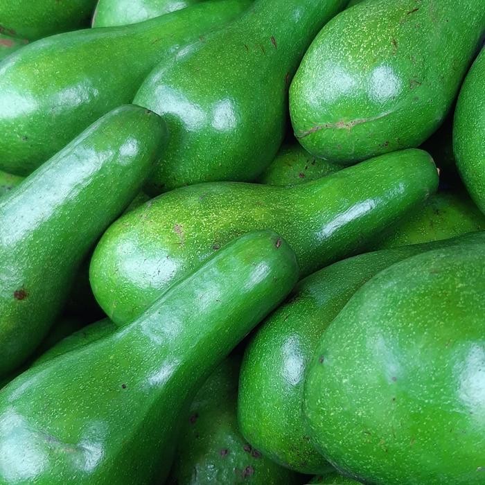 

TERLARIS Alpukat Mantega Bengkulu isi 4-5 biji READY STOCK