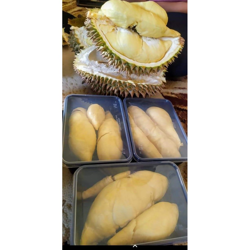 

ASLI DURIAN MONTHONG BALI 500gr READY STOCK