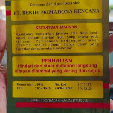 BIBIT BENIH 500 BIJI CABAI ALIP LOMBOK RAWIT KECIL HIJAU BENIH UNGGUL