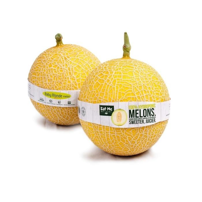 

DISKON Eat Me Brand - Buah Melon Blonde READY STOCK