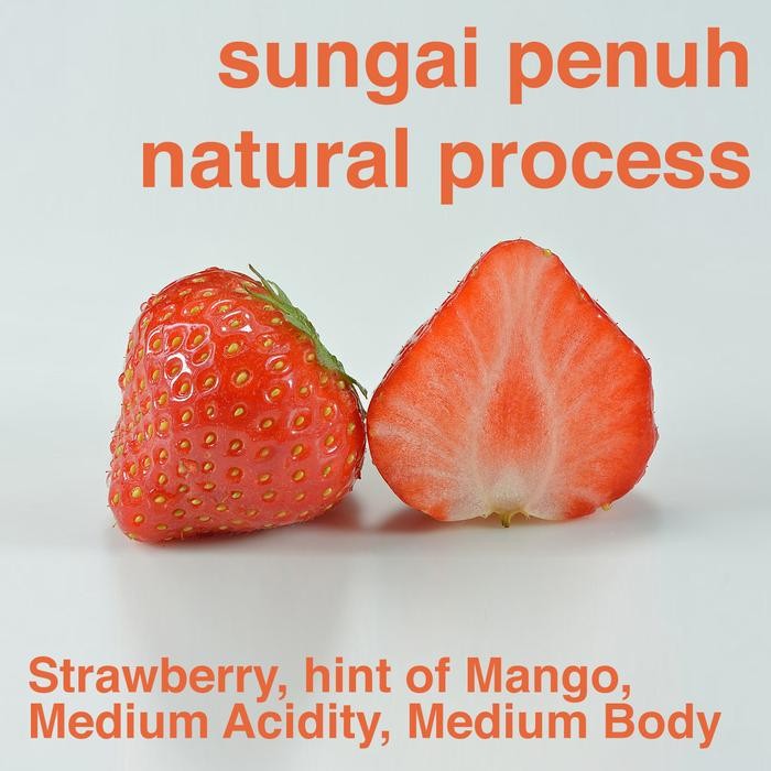 

KOPI ARABIKA KERINCI SUNGAI PENUH NATURAL 250GR 250G OMNI ROAST