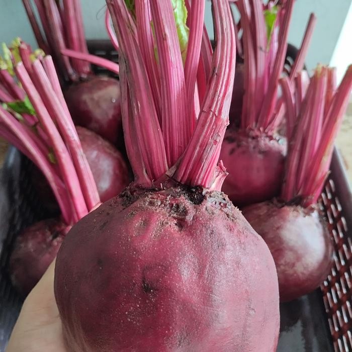 

JUS BUAH BIT PREMIUM