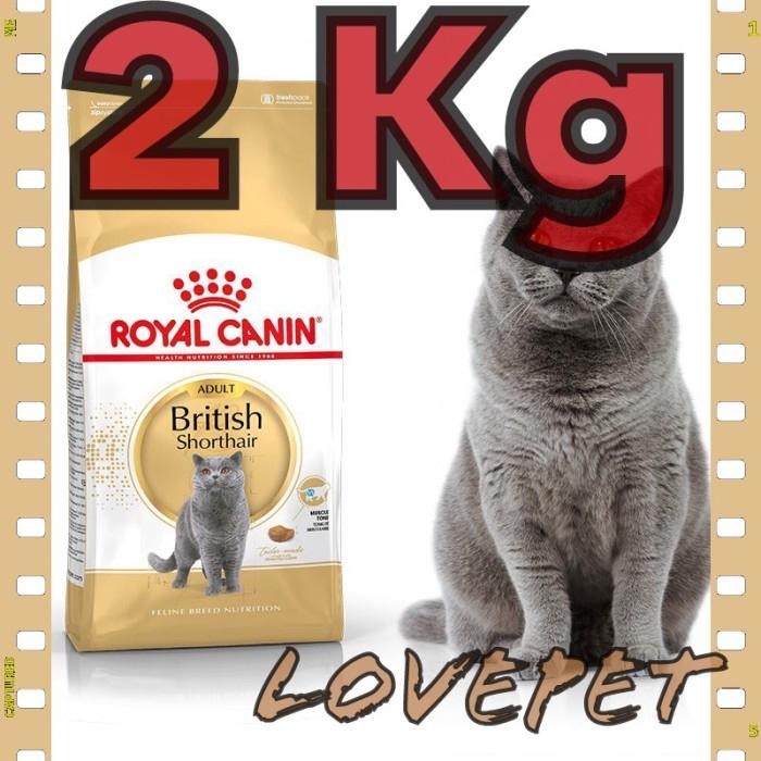 Royal Canin British ShortHair Adult 2kg /RC British short hair dewasa