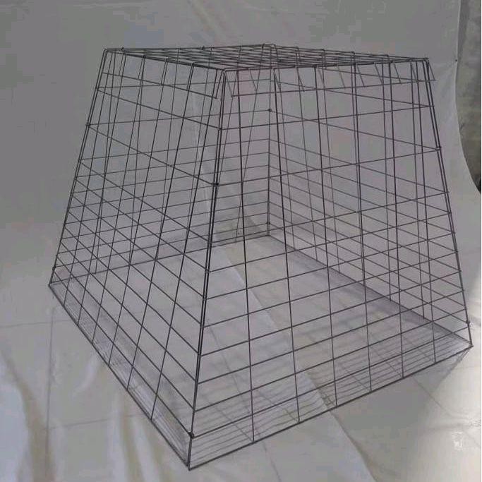 kandang ayam piramida, kurung ayam bangkok piramid