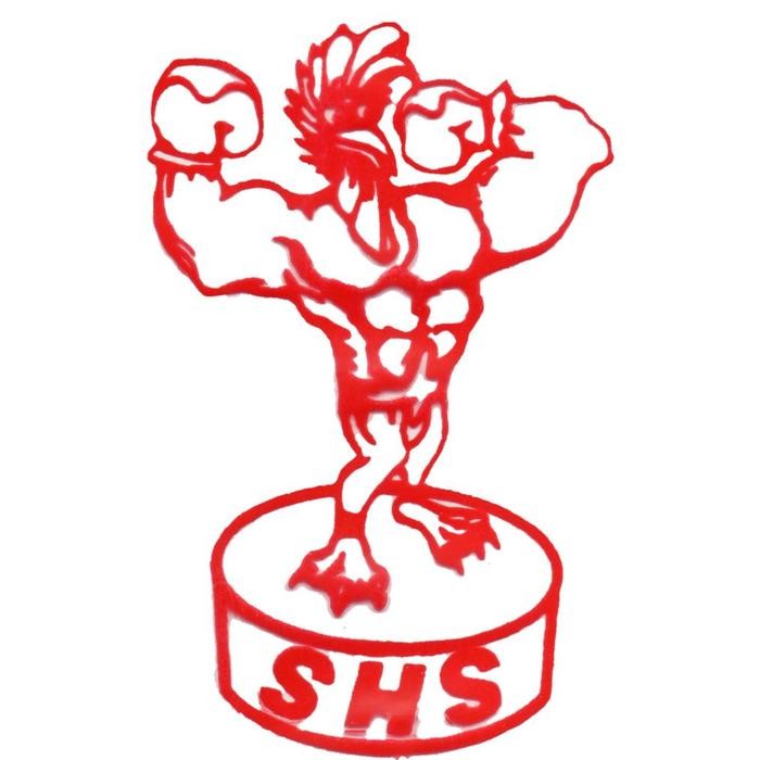  Combatizer obat doping ayam tablet