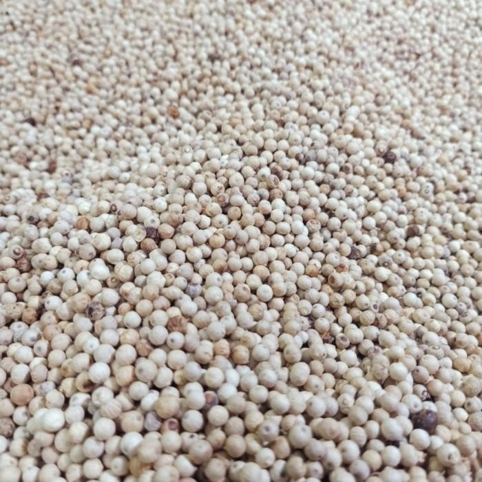 

Merica putih/Lada putih Rempah Pedas Herbal