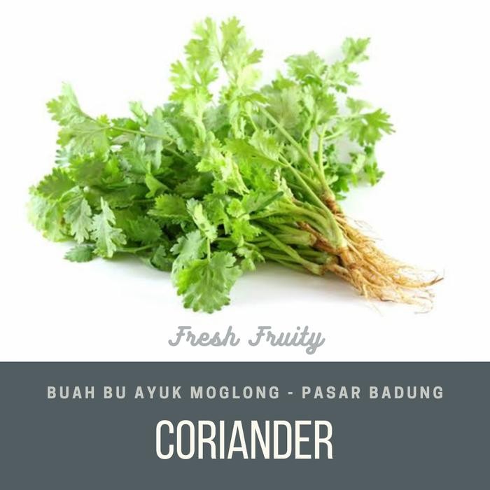 

Coriander atau Daun Ketumbar