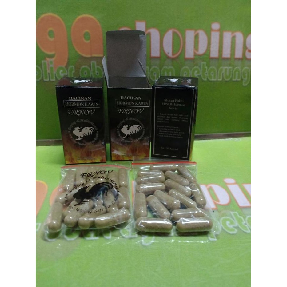 MURAH ernov hormon kawin 30cap obat vitamin ayam tarung