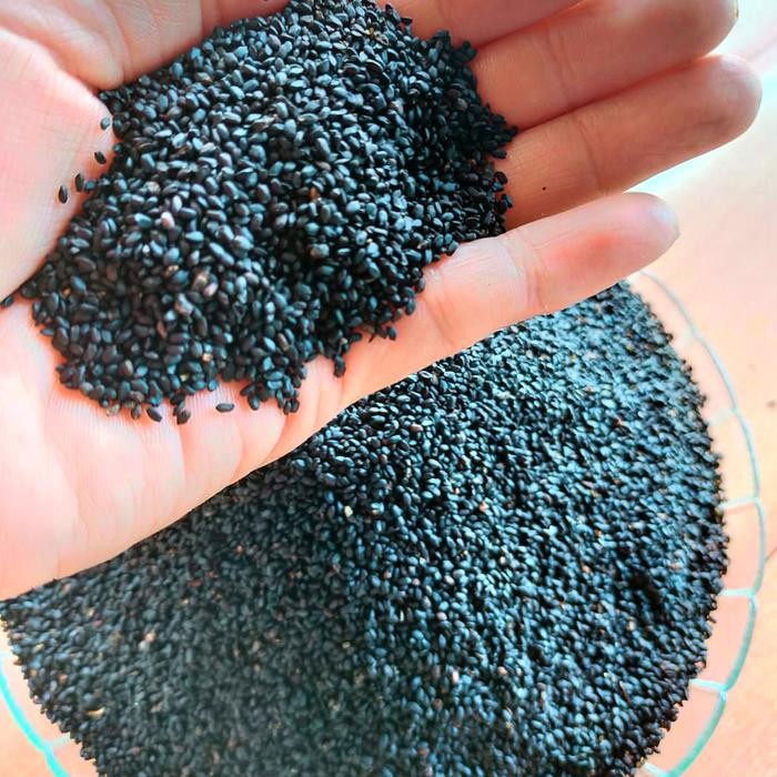 

Baru Biji Selasih Import 1 kg kilogram Bersih Grade A Terlaris