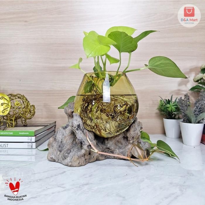 Aquarium Kaca Tiup Akar Kayu Pot Kaca Glass Wood Terrarium Kuning Besar Home Decor