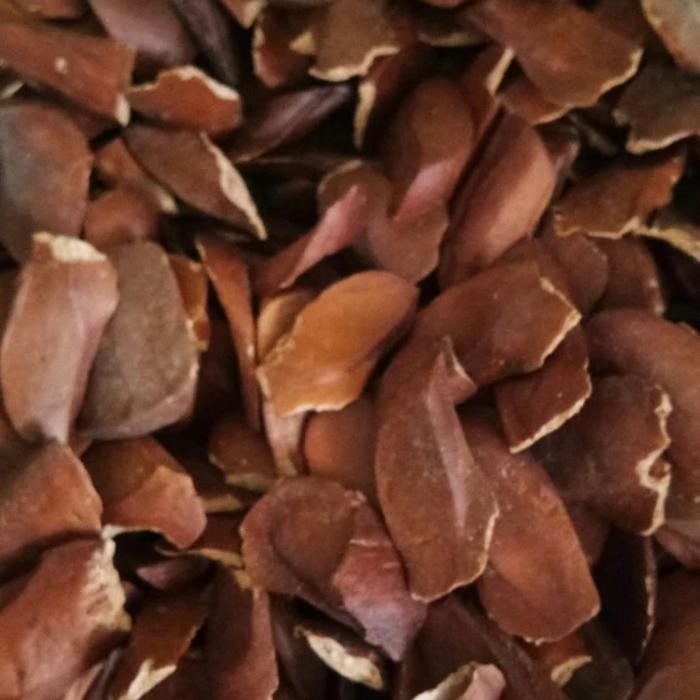 

Baru Biji Mahoni Asli 1kg - Herbal Tradisional