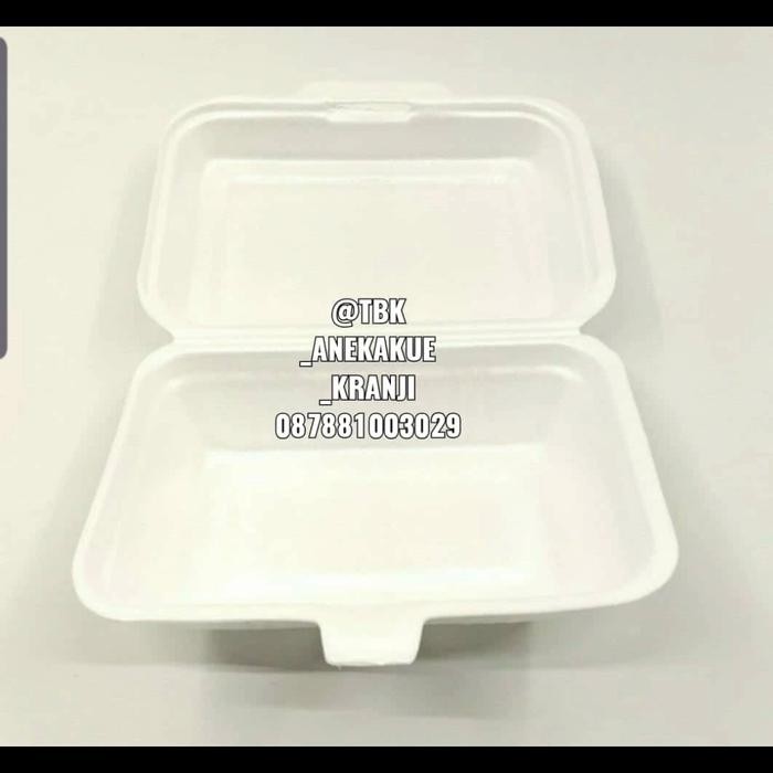 

Baru Styrofoam Bubur 1 Bal Isi 100 Pcs TF2 Via Gojek Only