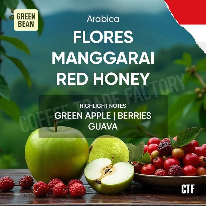 

Green Bean Arabica Flores Manggarai Red Honey premium berkualitas tinggi kompleks dan kaya aroma
