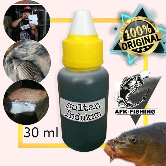 Essen Sultan Indukan Ikan Mas Galatama Galapung Lomba Untuk Ikan Babon Lele Bawal Patin Pancing