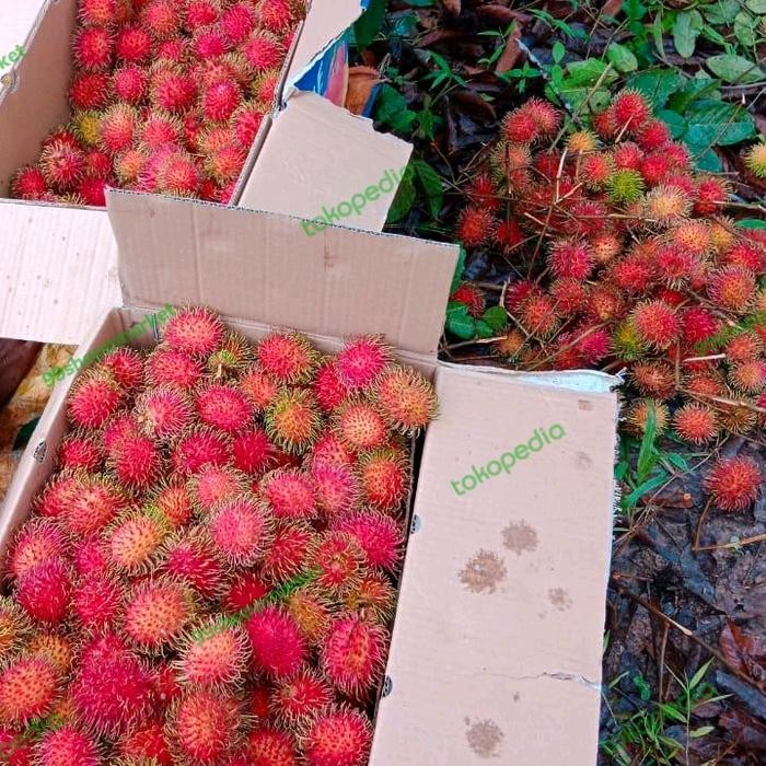 NATURE- Rambutan Asli Binjai Medan Super Manis 1 Kg